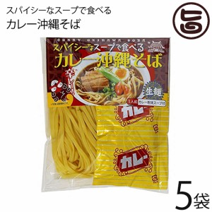 琉津 スパイシーなスープで食べるカレー沖縄そば 118g×5P 生麺 スープ付き お手軽 便利 沖縄 土産 珍しい