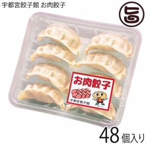 お肉餃子 8個入り×6パック 48個入り 宇都宮餃子館 栃木県 宇都宮 お取り寄せ 惣菜 冷凍