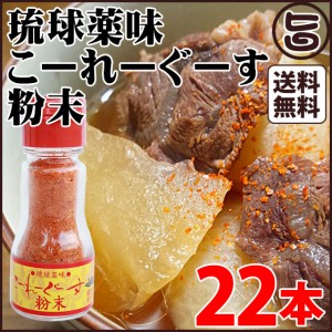 琉球薬味 こーれーぐーす粉末14g×22本 沖縄県 人気 定番 お土産 調味料