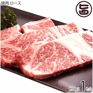 ギフト 嶋本食品 神戸ビーフ 贈答用 焼肉 ロース 500g 手土産 贈り物