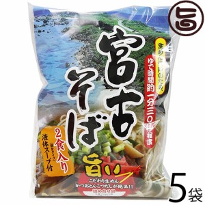 シンコウ 宮古そば (袋) 2食入り×5袋 沖縄 人気 琉球料理 定番 土産