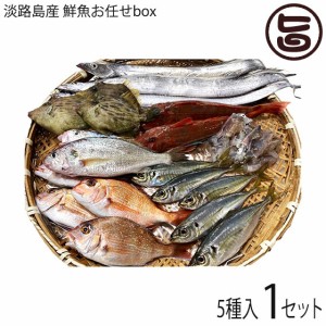 淡路島産 鮮魚 獲れたて5種お任せbox 太刀魚 アジ 小鯛 イシモチ ホウボウ ヒイカ 穴子 赤舌ヒラメ カワハギ