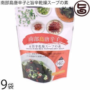 島酒家 南部島唐辛子と旨辛乾燥スープ 40g×9P