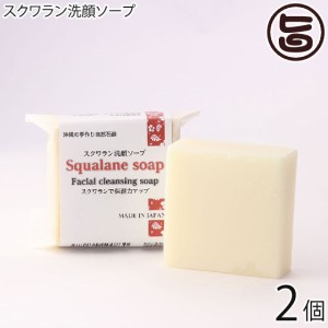 スクワラン洗顔ソープ 100g×2個 スクワラン本舗 スクワランオイル配合 保湿力の高い石鹸 沖縄 洗顔 石けん 美容 顔、全身に