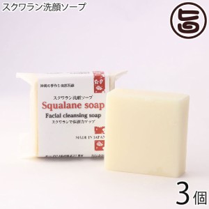 スクワラン洗顔ソープ 100g×3個 スクワラン本舗 スクワランオイル配合 保湿力の高い石鹸 沖縄 洗顔 石けん 美容 顔、全身に