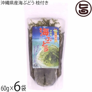 県産海ぶどう枝付き 60g×6袋