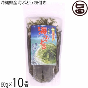 県産海ぶどう枝付き 60g×10袋