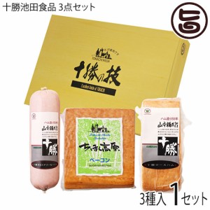 ギフト 十勝池田食品 3点セット ちほく高原ベーコン 十勝ロースハム 十勝ボロニアソーセージ 各1個 北海道 十勝