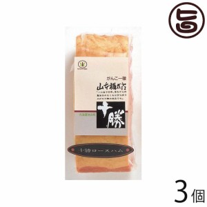 ギフト 十勝ロースハム(原木) 300g×3個 ブロック 北海道 人気 贅沢 ご褒美 豚肉