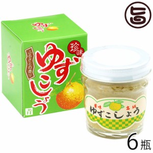 ゆずこしょう 90g×6個 たけうち 熊本県 九州 復興支援 健康管理 健康食品 調味料