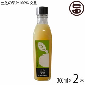 土佐の果汁100％ 文旦 300ml×2瓶 高知県 果実原液 果汁 農薬不使用 無添加