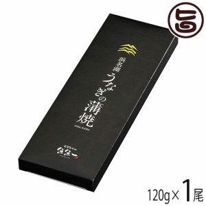 魚魚一（とといち） 浜名湖うなぎ蒲焼 長焼 120g×1尾 静岡 土産 鰻 蒲焼き 自宅用