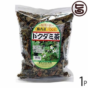 うっちん沖縄 ドクダミ茶 焙煎 70g×1P 沖縄 人気 定番 土産 健康茶 ティーバッグ 女性におすすめのハーブティー