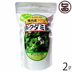 うっちん茶 ドクダミ茶 ティーパック 3g×20包×2P 沖縄 人気 定番 土産 健康茶 女性におすすめのハーブティー