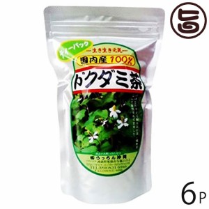 うっちん茶 ドクダミ茶 ティーパック 3g×20包×6P 沖縄 人気 定番 土産 健康茶 女性におすすめのハーブティー