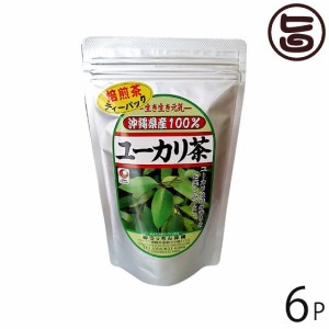 うっちん沖縄 健康茶 ユーカリ茶 ティーパック (2g×20包入)×6P 沖縄 人気 定番 土産 健康茶