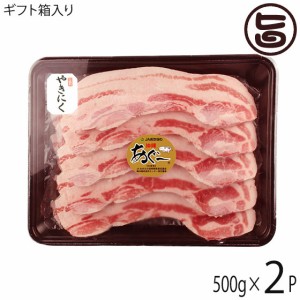 ギフト 化粧箱入り JAおきなわ あぐー 豚バラ 焼肉500g×2P 沖縄 土産 豚肉 県産ブランド豚あぐー 贈り物 贈答用