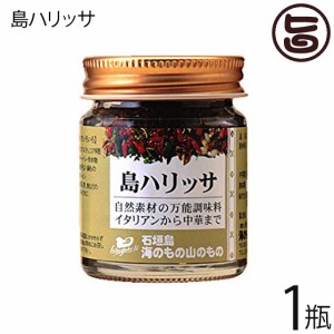 海のもの山のもの 島ハリッサ 40g×1瓶 沖縄 人気 万能 調味料 唐辛子 ペースト 自然素材