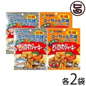 とりかわジャーキー 45g 2種×各2袋セット 祐食品 沖縄 土産 沖縄土産 珍味 おつまみ