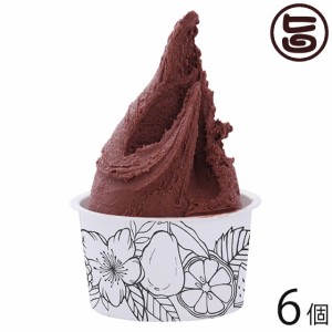 沖縄やんばるジェラート ダークチョコ 90ml×6個セット 沖縄 土産 ジェラート Valrhona ヴァローナ チョコレート