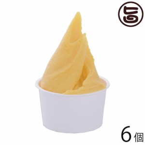 沖縄やんばるジェラート 沖縄マンゴー 90ml×6個セット 沖縄 土産 ジェラート 氷菓 お取り寄せ アイス