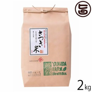 山田ふぁーむ さつき米あきたこまち 白米 2kg 青森県 土産 お米 減化学肥料 減農薬