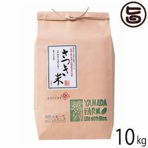 山田ふぁーむ さつき米あきたこまち 白米 10kg 青森県 土産 お米 減化学肥料 減農薬