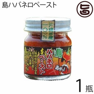 島ハバネロペースト 40g×1瓶 沖縄県産島ハバネロ100% 泡盛と島塩でペースト状に仕上げた超激辛スパイス 沖縄 土産