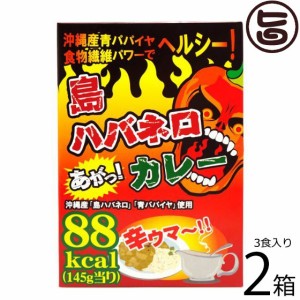 渡具知 島ハバネロカレー 145g×3食入×2箱 沖縄 人気 土産 たけしの家庭の医学 ターメリック クルクミン