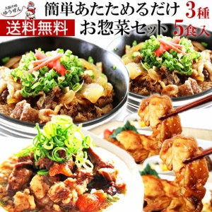 温めるだけの お惣菜 3種5個 セット 国産 牛丼 ＆ 牛すじ煮込み & 照り焼きチキン 冷凍 食品 送料無料 通販 プレゼントに 美味しい おか