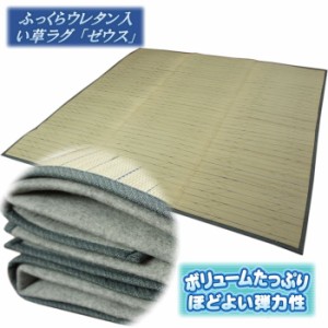 220x220cm 4.5畳用 ふっくらウレタン入い草ラグ ヘリンボーン柄「ゼウス」