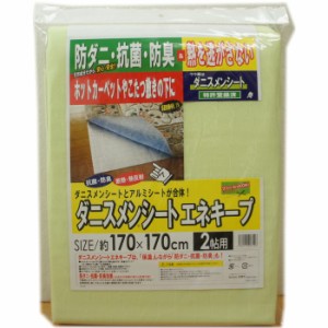 2畳用 170x170cm ダニスメンシート エネキープ 防ダニ・防臭・保温【防ダニ効果】