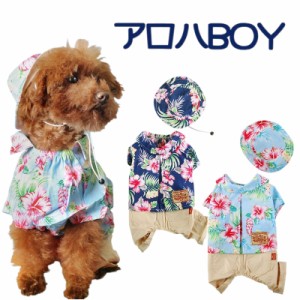 犬服　アロハBOY　（シャツズボンつなぎと帽子セット)　エアバルーン　ブルー/ネイビー　Ｓ、Ｍ、Ｌ、MD-M