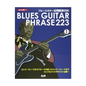 中古：めざせ達人! ブルースギター フレーズ223 (1)