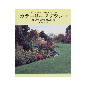 中古：カラーリーフプランツ―葉の美しい植物の図鑑