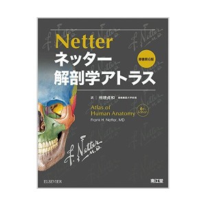 中古：ネッター解剖学アトラス原書第6版