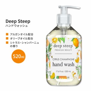 ディープスティープ ハンドウォッシュ シトラス・シャンパーニュ 520ml (17.6floz) Deep Steep Hand Wash - Citrus Champagne ハンドソー