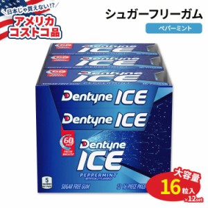【アメリカコストコ品】デンティーン アイス シュガーフリーガム ペパーミント 16粒 × 12個 Dentyne Ice Sugar Free Gum Peppermint 12-