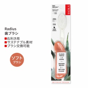 ラディウス ビッグ ブラシ 右手用 シーシェルコーラル Radius Big Brush Right Hand Seashell Coral 歯ブラシ ソフト毛 右利き用