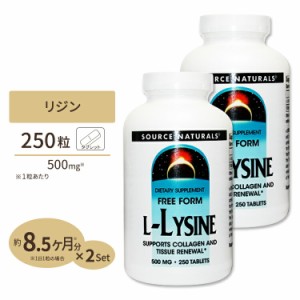 [2個セット] ソースナチュラルズ リジン サプリメント Lリジン 500mg 250粒 Source Naturals