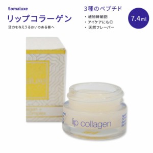 Somaluxe リップ コラーゲン + ペプチド コンプレックス 7.4ml (0.25 oz) Somaluxe Lip Collagen + Peptide Complex