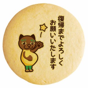 クッキー イラスト プリント メッセージ 産休 マタニティにゃんこ 個包装 洋菓子 お菓子 お取り寄せスイーツ 通販 人気 贈り物 おすすめ 