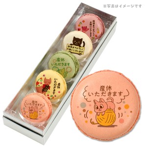 産休 お菓子 あいさつ 人気の5つのフレーバーで美味しい ネコのイラスト メッセージマカロン 5個セット 手作り スイーツ ギフト