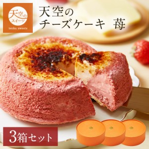 【 送料無料 ギフト 】天空のチーズケーキ いちご 苺 ストロベリー 3箱 ギフト 濃厚 内祝い ふわとろ フロマージュ バースデー 誕生日 有