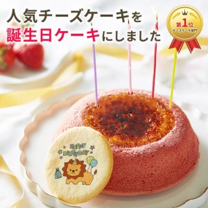 【 送料無料 ギフト 】天空のチーズケーキ 苺 誕生日ケーキ バースデーケーキ バースディケーキ birthday ギフト プレゼント 5号サイズ 