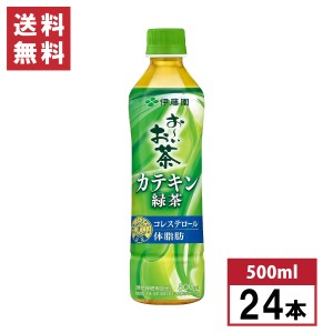 【まとめ買い】伊藤園 おーいお茶 カテキン緑茶 500ml×24本 [トクホ] 血中コレステロール お茶 箱買い ケース買い 特保