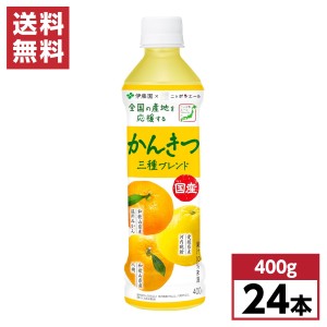 【まとめ買い】 伊藤園 ニッポンエール かんきつ三種ブレンド 国産 400g×24本 箱買い ケース買い 柑橘 温州みかん はっさく 河内晩柑