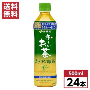 【まとめ買い】 伊藤園 おーいお茶 カテキン緑茶 500ml×24本 特保 トクホ 箱買い ケース買い 特定保健用食品 お〜いお茶