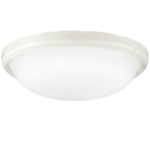 DAIKO 浴室灯(LED16W・昼光色) DXL-81085B