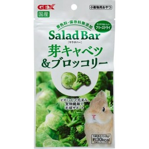 GEX(ジェックス) サラダバー SaladaBar 芽キャベツ＆ブロッコリー 8g　フリーズドライ ビタミンC うさぎ ウサギ 小動物用おやつ